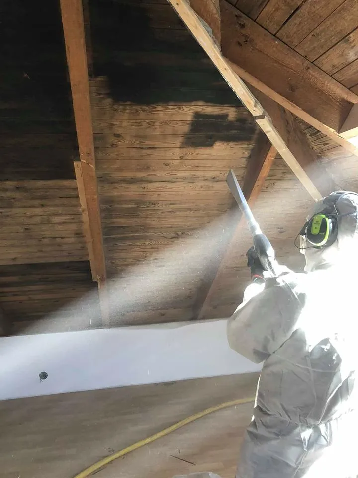 Sanering & Desinfektering